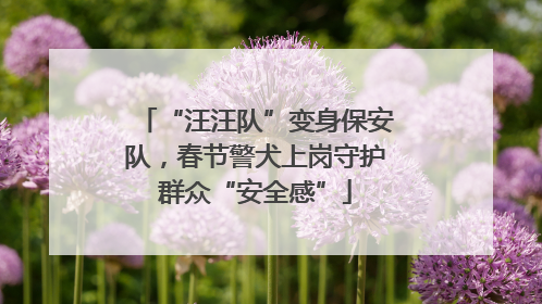 “汪汪队”变身保安队，春节警犬上岗守护群众“安全感”