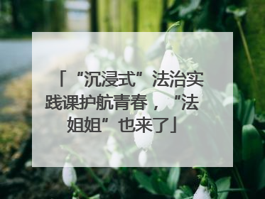 “沉浸式”法治实践课护航青春，“法姐姐”也来了