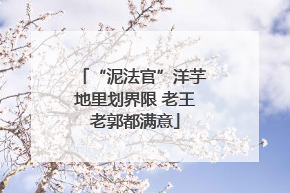 “泥法官”洋芋地里划界限 老王老郭都满意