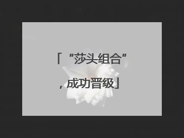 “莎头组合”，成功晋级