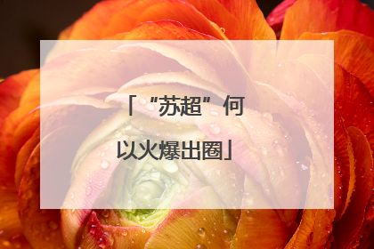 “苏超”何以火爆出圈