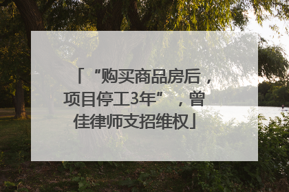 “购买商品房后，项目停工3年”，曾佳律师支招维权