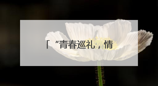 “青春巡礼，情系长安” 2025西安高中学生毕业季活动举行