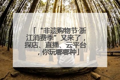 “非遗购物节·浙江消费季”又来了，探店、直播、云平台，你玩哪哪种