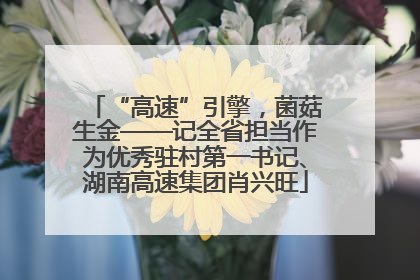“高速”引擎，菌菇生金——记全省担当作为优秀驻村第一书记、湖南高速集团肖兴旺