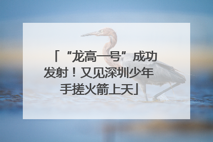 “龙高一号”成功发射！又见深圳少年手搓火箭上天