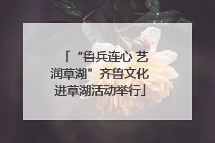 “鲁兵连心 艺润草湖”齐鲁文化进草湖活动举行
