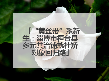 “黄丝带”系新生：淄博市桓台县多元共治铺就社矫对象回归路