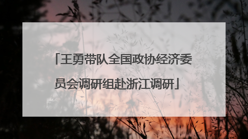 王勇带队全国政协经济委员会调研组赴浙江调研