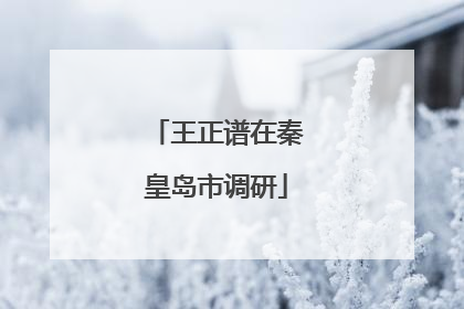 王正谱在秦皇岛市调研