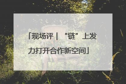 现场评｜“链”上发力打开合作新空间