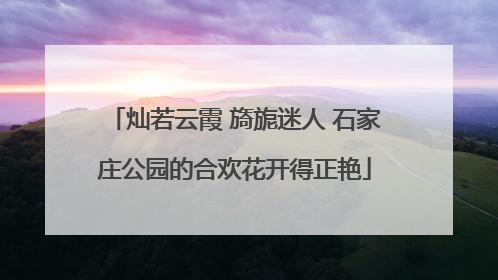 灿若云霞 旖旎迷人 石家庄公园的合欢花开得正艳