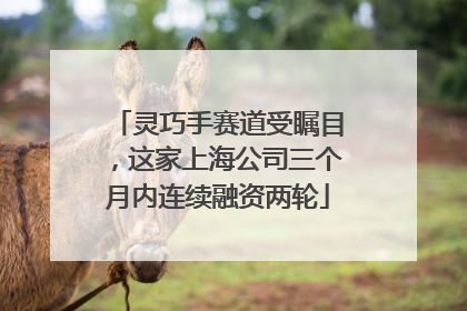 灵巧手赛道受瞩目，这家上海公司三个月内连续融资两轮