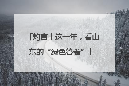 灼言丨这一年，看山东的“绿色答卷”