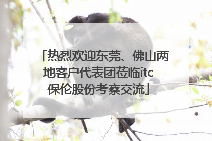 热烈欢迎东莞、佛山两地客户代表团莅临itc保伦股份考察交流