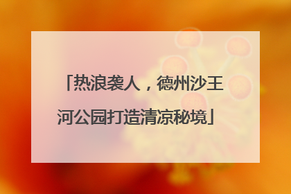 热浪袭人，德州沙王河公园打造清凉秘境
