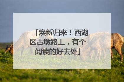 焕新归来！西湖区古墩路上，有个阅读的好去处