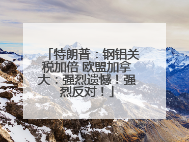 特朗普：钢铝关税加倍 欧盟加拿大：强烈遗憾！强烈反对！