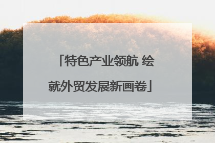 特色产业领航 绘就外贸发展新画卷