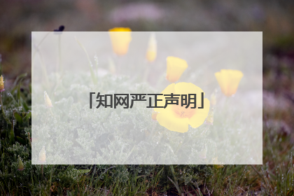 知网严正声明