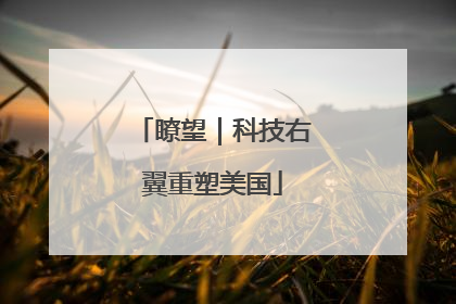 瞭望｜科技右翼重塑美国