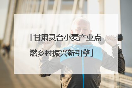 甘肃灵台小麦产业点燃乡村振兴新引擎