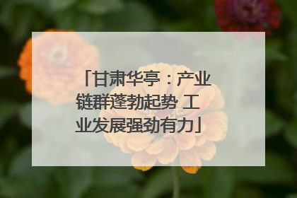 甘肃华亭：产业链群蓬勃起势 工业发展强劲有力