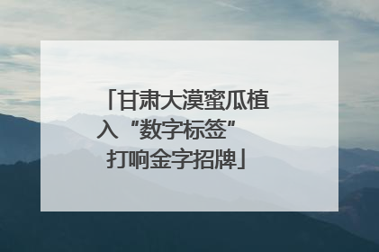 甘肃大漠蜜瓜植入“数字标签” 打响金字招牌