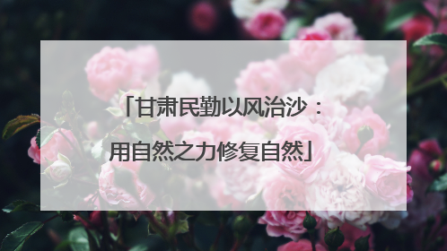 甘肃民勤以风治沙：用自然之力修复自然