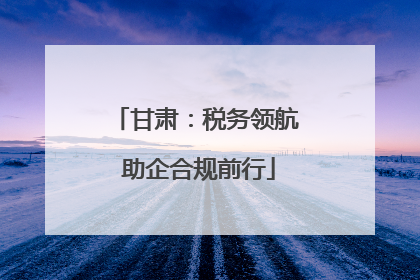 甘肃：税务领航 助企合规前行