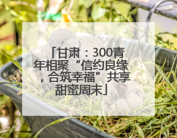 甘肃：300青年相聚“信约良缘，合筑幸福”共享甜蜜周末