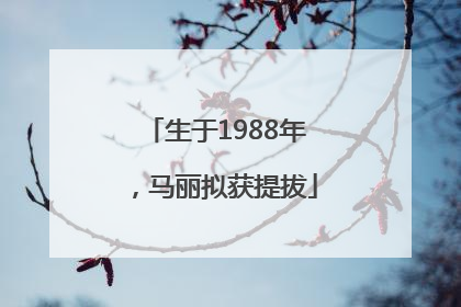 生于1988年，马丽拟获提拔