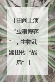 田间上演“虫粮博弈”，生物武器扭转“战局”