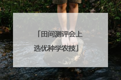 田间测评会上选优种学农技