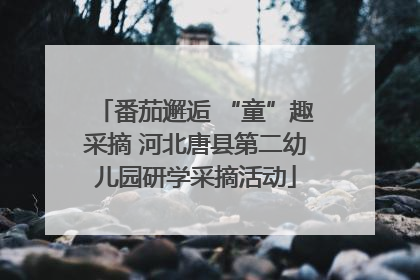 番茄邂逅 “童”趣采摘 河北唐县第二幼儿园研学采摘活动
