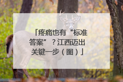 疼痛也有“标准答案”？江西迈出关键一步（图）