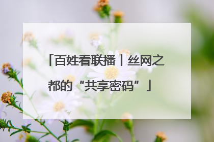 百姓看联播丨丝网之都的“共享密码”