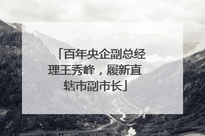 百年央企副总经理王秀峰，履新直辖市副市长