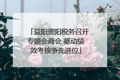 益阳资阳税务召开专题会商会 驱动绩效考核争先进位