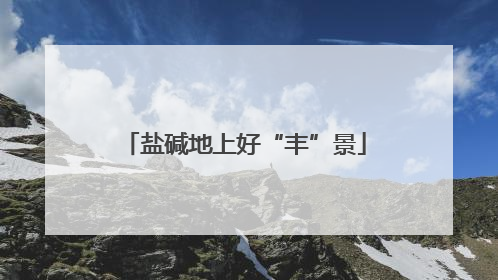 盐碱地上好“丰”景