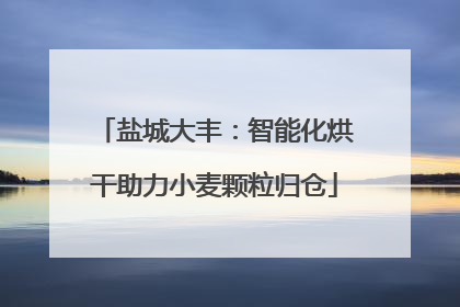 盐城大丰：智能化烘干助力小麦颗粒归仓