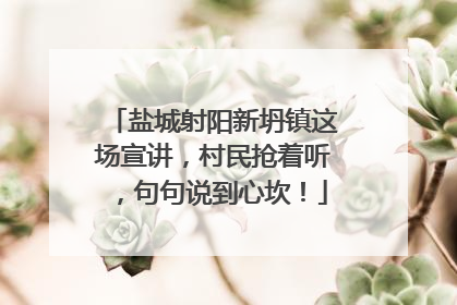 盐城射阳新坍镇这场宣讲，村民抢着听，句句说到心坎！