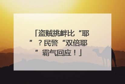 盗贼挑衅比“耶”？民警“双倍耶”霸气回应！