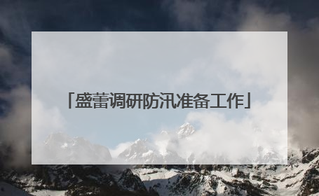 盛蕾调研防汛准备工作