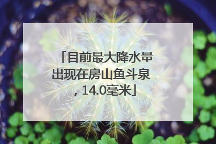 目前最大降水量出现在房山鱼斗泉，14.0毫米
