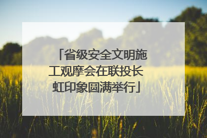 省级安全文明施工观摩会在联投长虹印象圆满举行