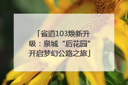 省道103焕新升级：泉城“后花园”开启梦幻公路之旅