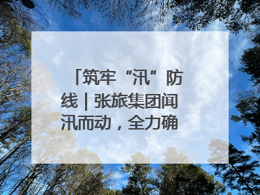 筑牢“汛”防线｜张旅集团闻汛而动，全力确保安全度汛