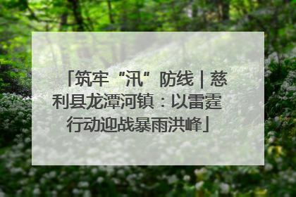 筑牢“汛”防线｜慈利县龙潭河镇：以雷霆行动迎战暴雨洪峰