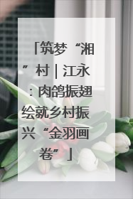 筑梦“湘”村｜江永：肉鸽振翅绘就乡村振兴“金羽画卷”